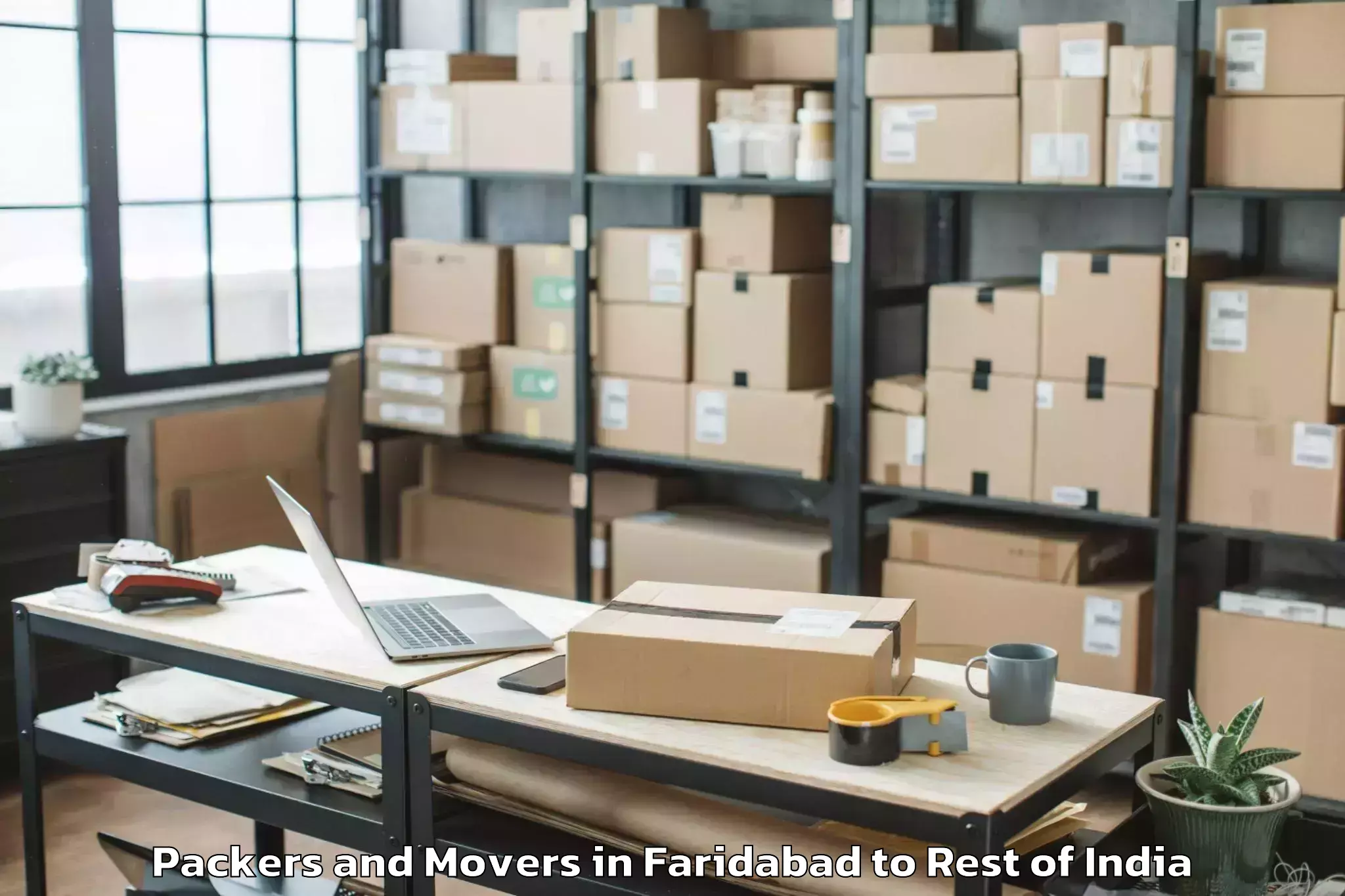 Book Faridabad to Bijolia Packers And Movers Online